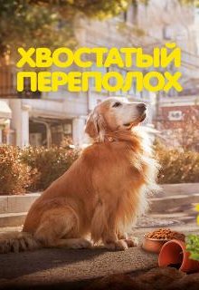 Хвостатый переполох