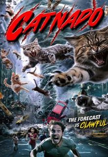  Кошачий торнадо 