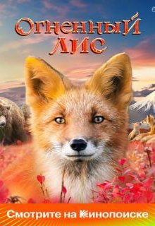  Огненный лис 