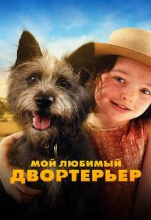 Мой любимый двортерьер