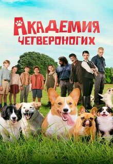  Академия четвероногих 