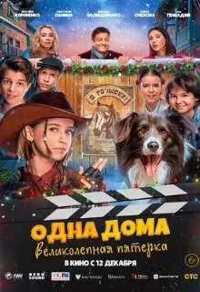  Одна дома: Великолепная пятерка 